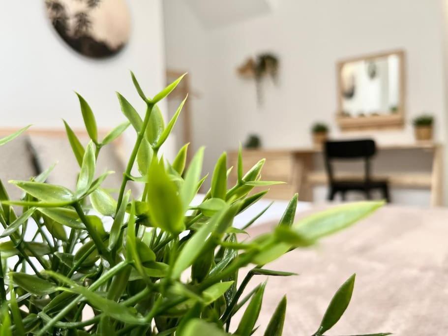 Apartamento Vive Zaragoza V Eksteriør bilde